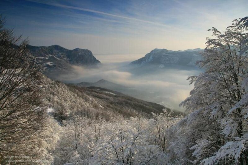 Snow-covered Mountains — White, Serene, Winter, Photograph, Fog, Trees