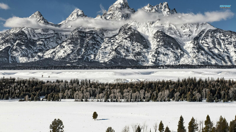 Snow-covered Mountains — White, Serene, Winter, Photograph, Forest