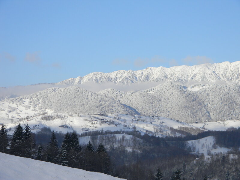 Snow-covered Mountains — White, Serene, Winter, Photograph, Forests