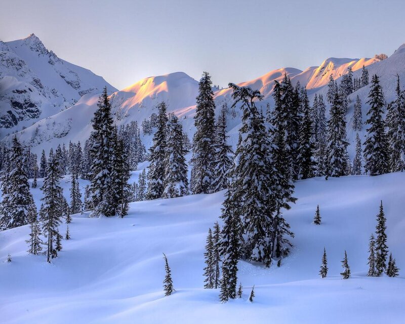 Snow-covered Mountains — White, Serene, Winter, Photograph, Pine Trees, Snow