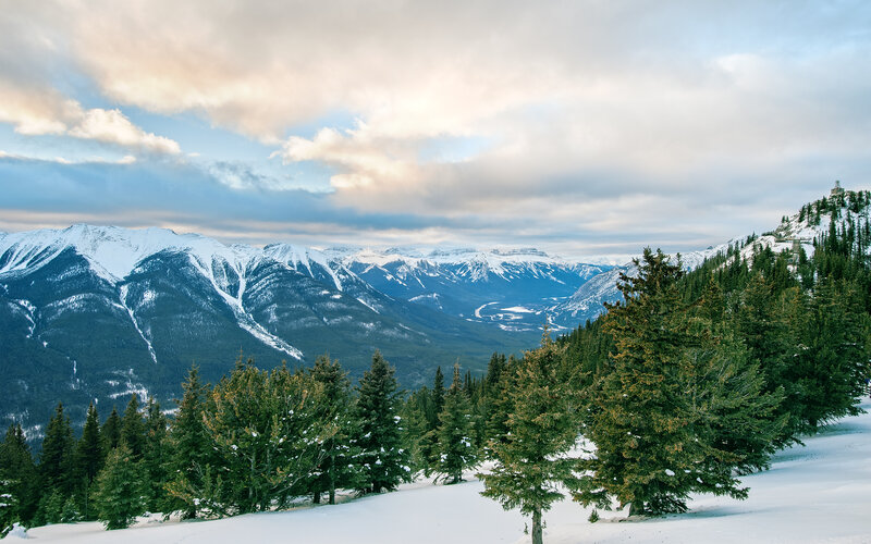 Snow-covered Mountains — White, Serene, Winter, Photograph, Pine Trees, Valley
