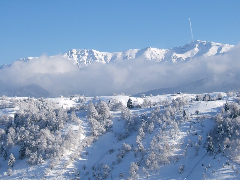 Snow-covered Mountains — White, Serene, Winter, Photograph, Trees, Clouds, Airplane