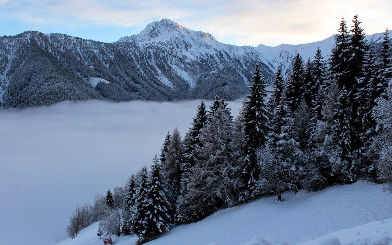 Snow-covered Mountains — White, Serene, Winter, Photograph, Trees, Fog, Mountain