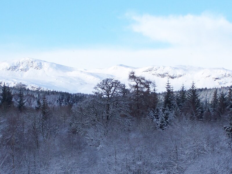 Snow-covered Mountains — White, Serene, Winter, Photograph, Trees, Forest, Sky, Blue, Green