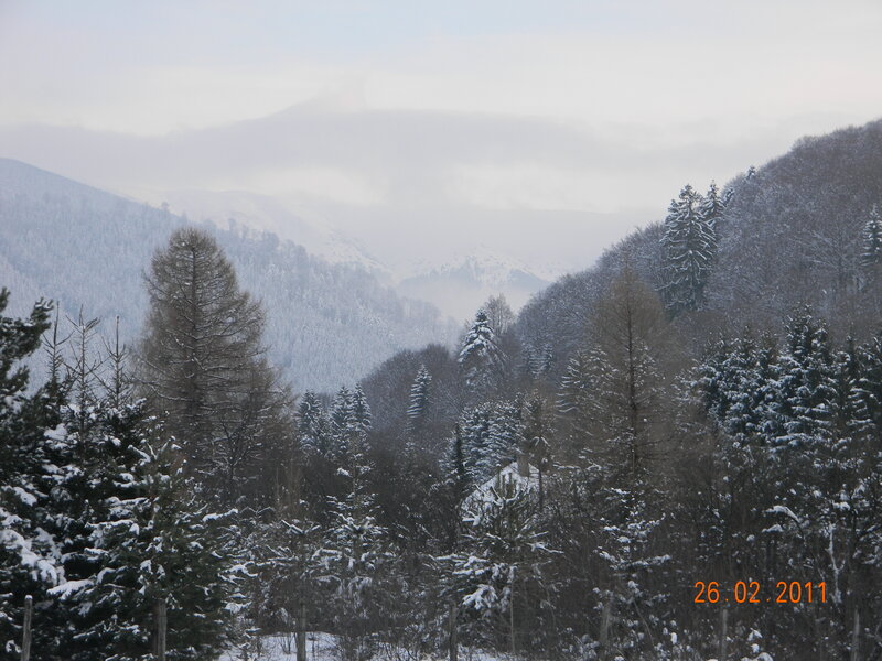 Snow-covered Mountains — White, Serene, Winter, Photograph, Trees, Forest