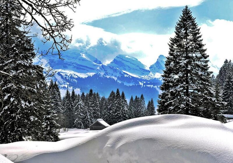 Snow-covered Mountains — White, Serene, Winter, Photograph, Trees, Hut