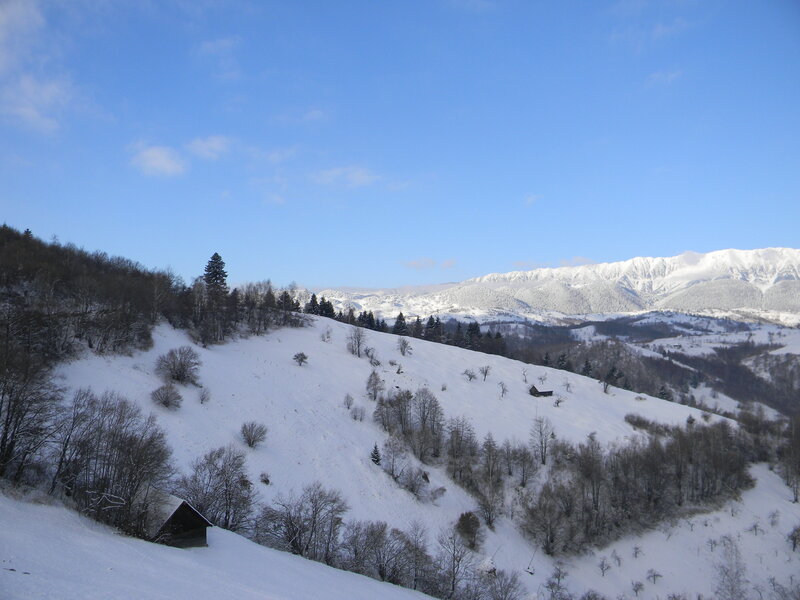 Snow-covered Mountains — White, Serene, Winter, Photograph, Trees, Huts