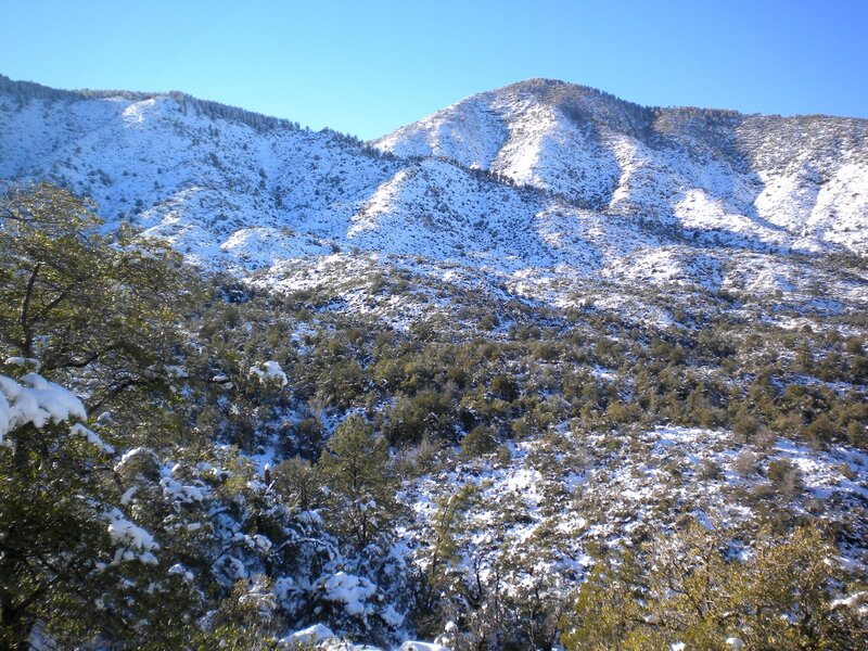 Snow-covered Mountains — White, Serene, Winter, Photograph, Trees, Snow, Sky, Green