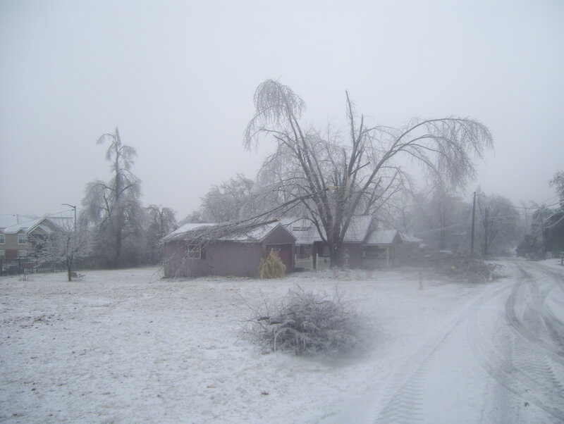 snow-covered neighborhood after storm