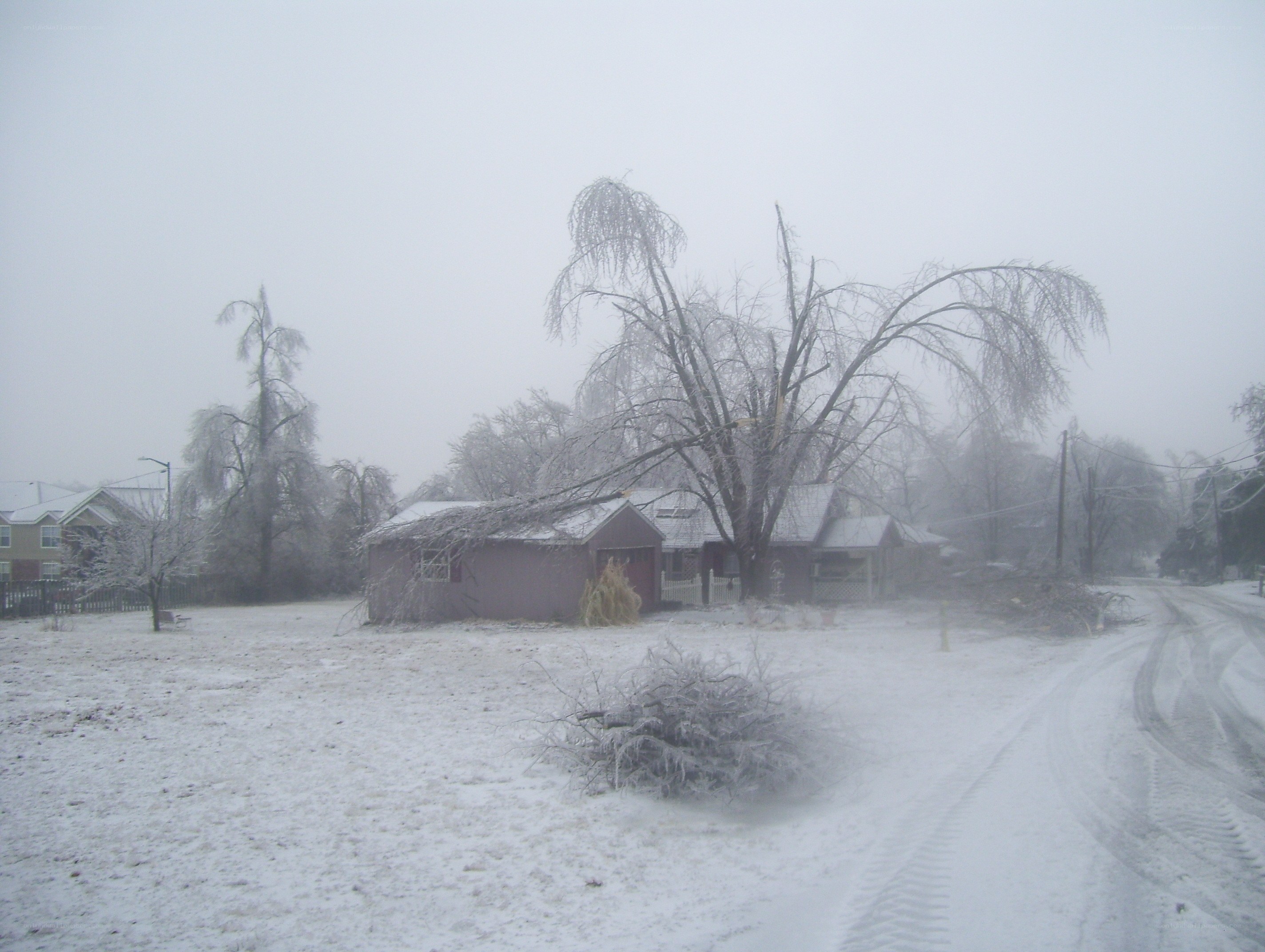 snow-covered neighborhood after storm