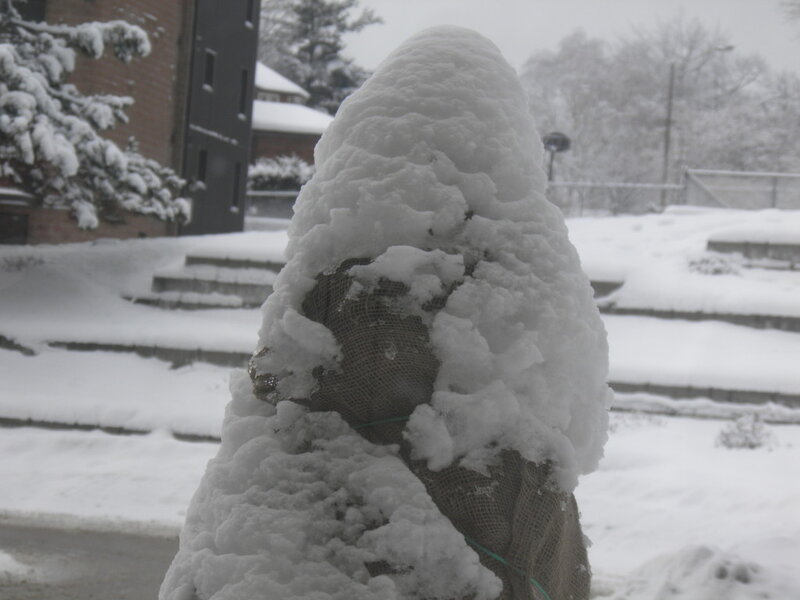 Snow-covered Object — White