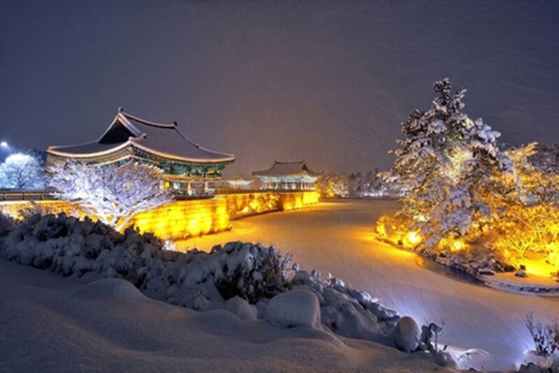 Snow-covered Palace at Night