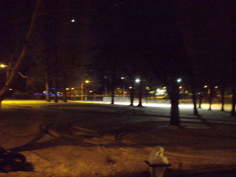 Snow-covered Park at Night — Black, Dark, Photograph, Trees, Streetlights