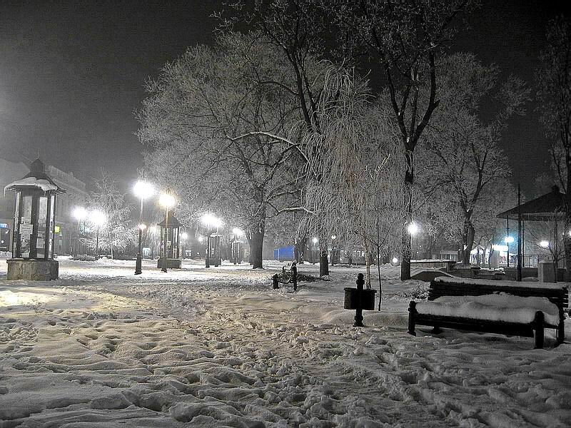 Snow-covered Park at Night — Black