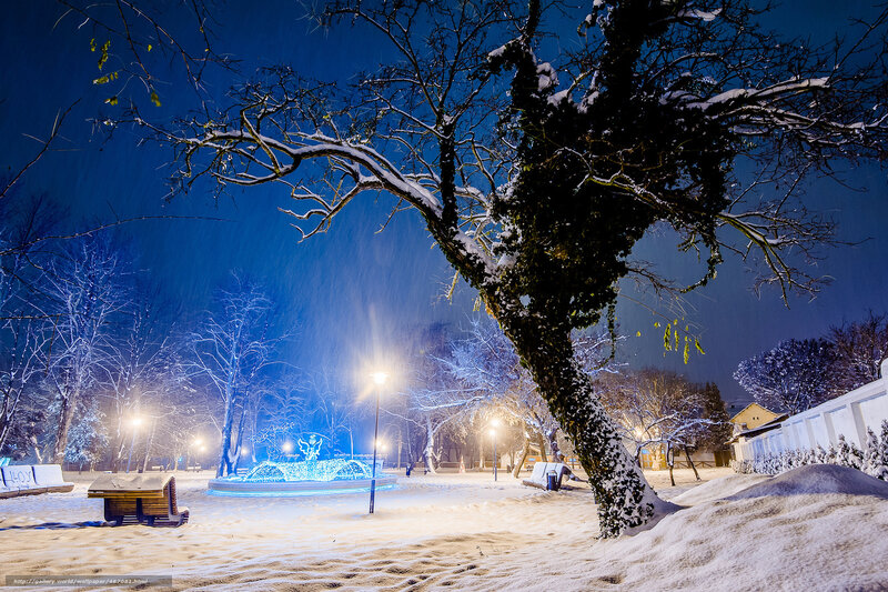 Snow-covered Park at Night — Blue, Serene, Photograph, Tree, Fountain