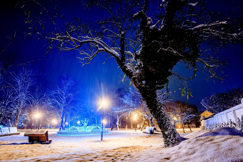 Snow-covered Park at Night — Blue, Serene