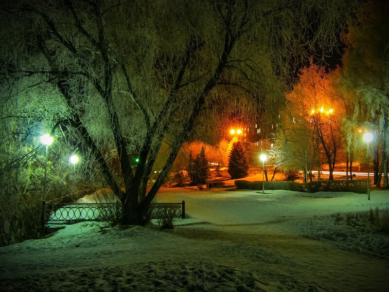 Snow-covered Park at Night — Green, Quiet, Photograph