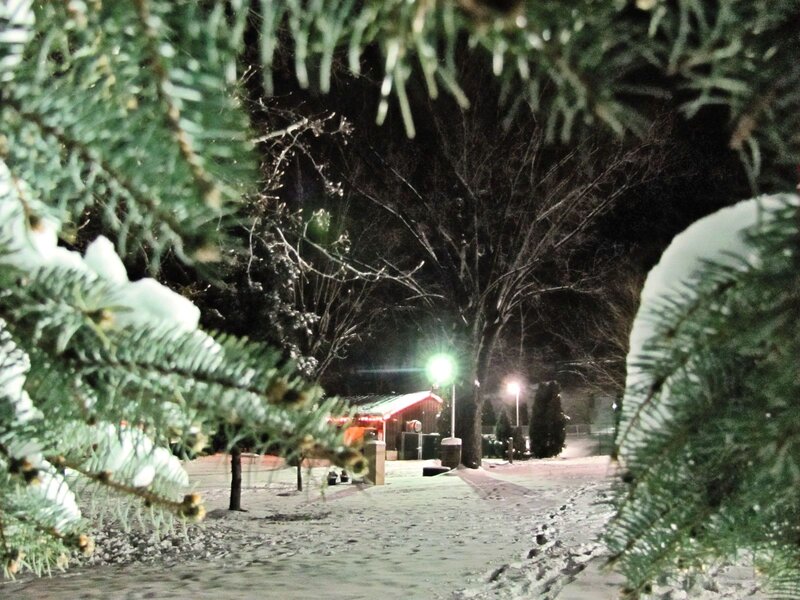 Snow-covered Park at Night — Green, Quiet