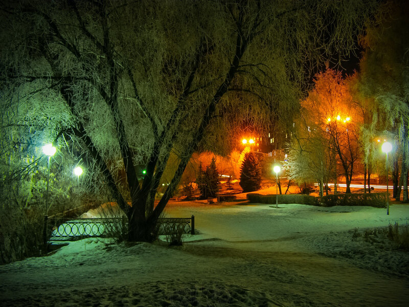 Snow-covered Park at Night — Green
