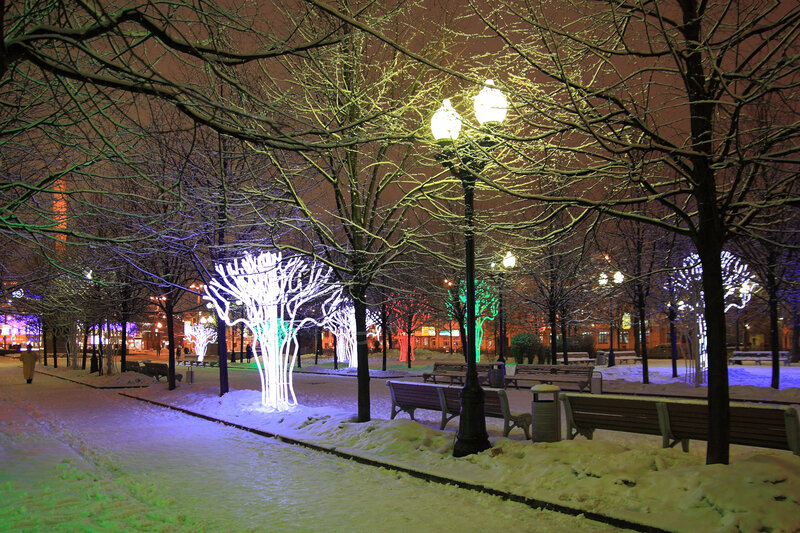 Snow-covered Park at Night — White, Calm