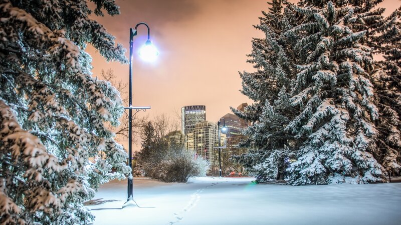 Snow-covered Park at Night — White, Serene, Photograph