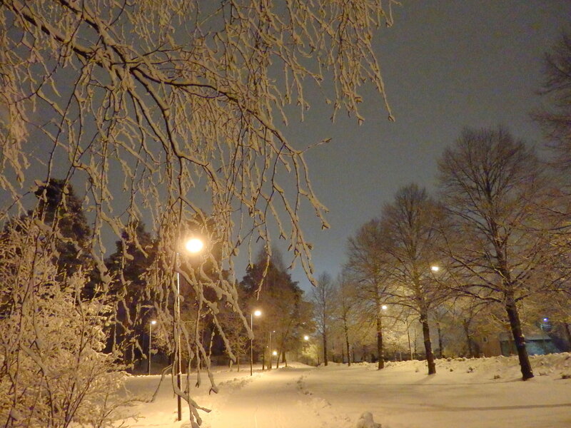 Snow-covered Park at Night — White, Serene, Photograph, Trees, Streetlights