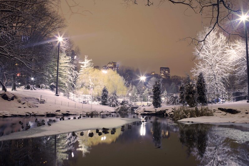 Snow-covered Park at Night — White, Serene