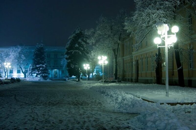 Snow-covered Park at Night — White
