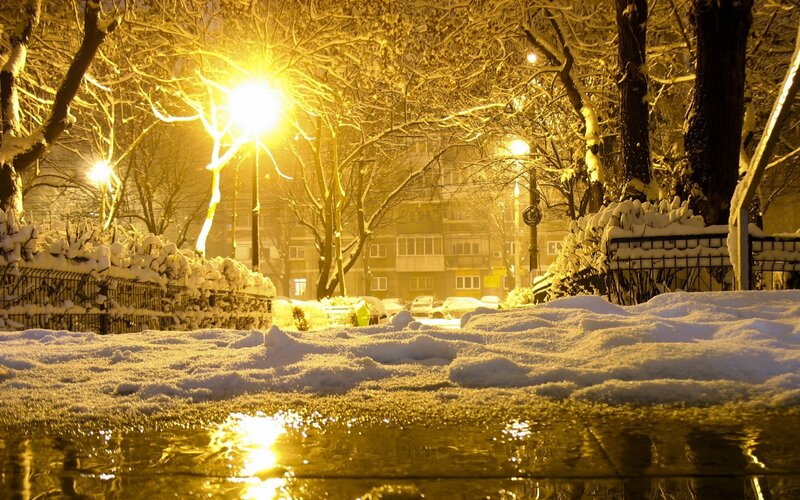 Snow-covered Park at Night — Yellow, Calm