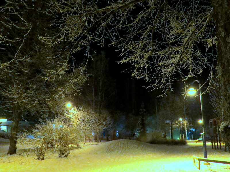 Snow-covered Park at Night — Yellow, Quiet