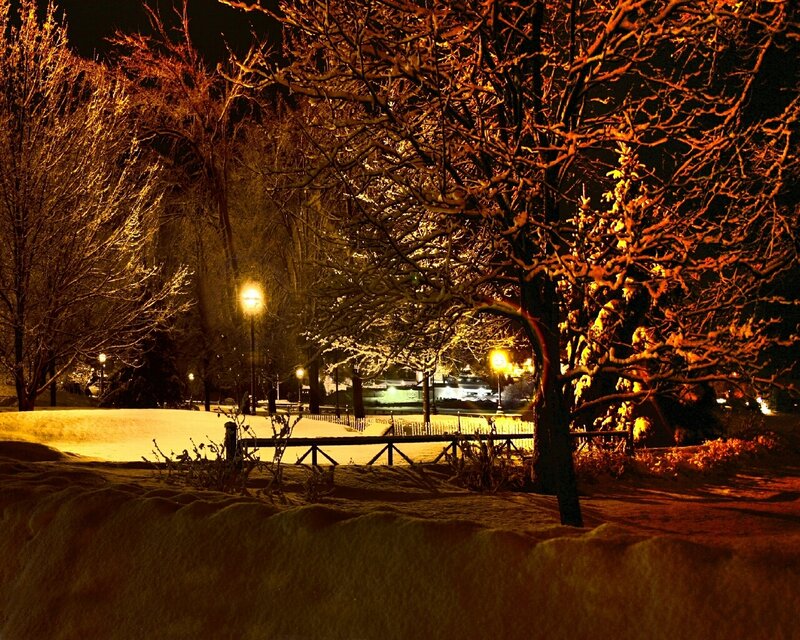Snow-covered Park at Night — Yellow, Serene