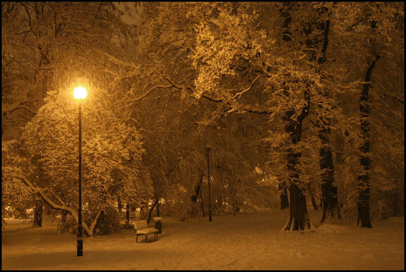 Snow-covered Park at Night — Yellow