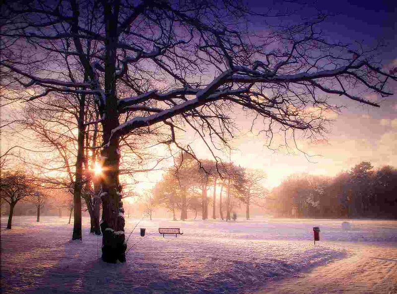Snow-covered Park at Sunrise