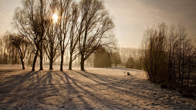 Snow-covered Park at Sunrise — White