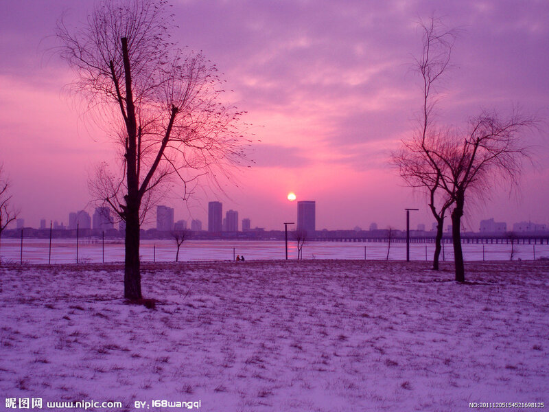 Snow-covered Park at Sunset — Purple