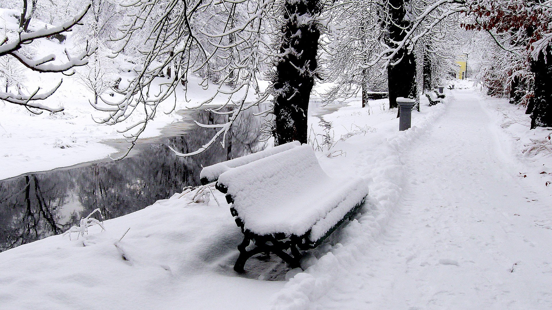 Snow-covered park bench