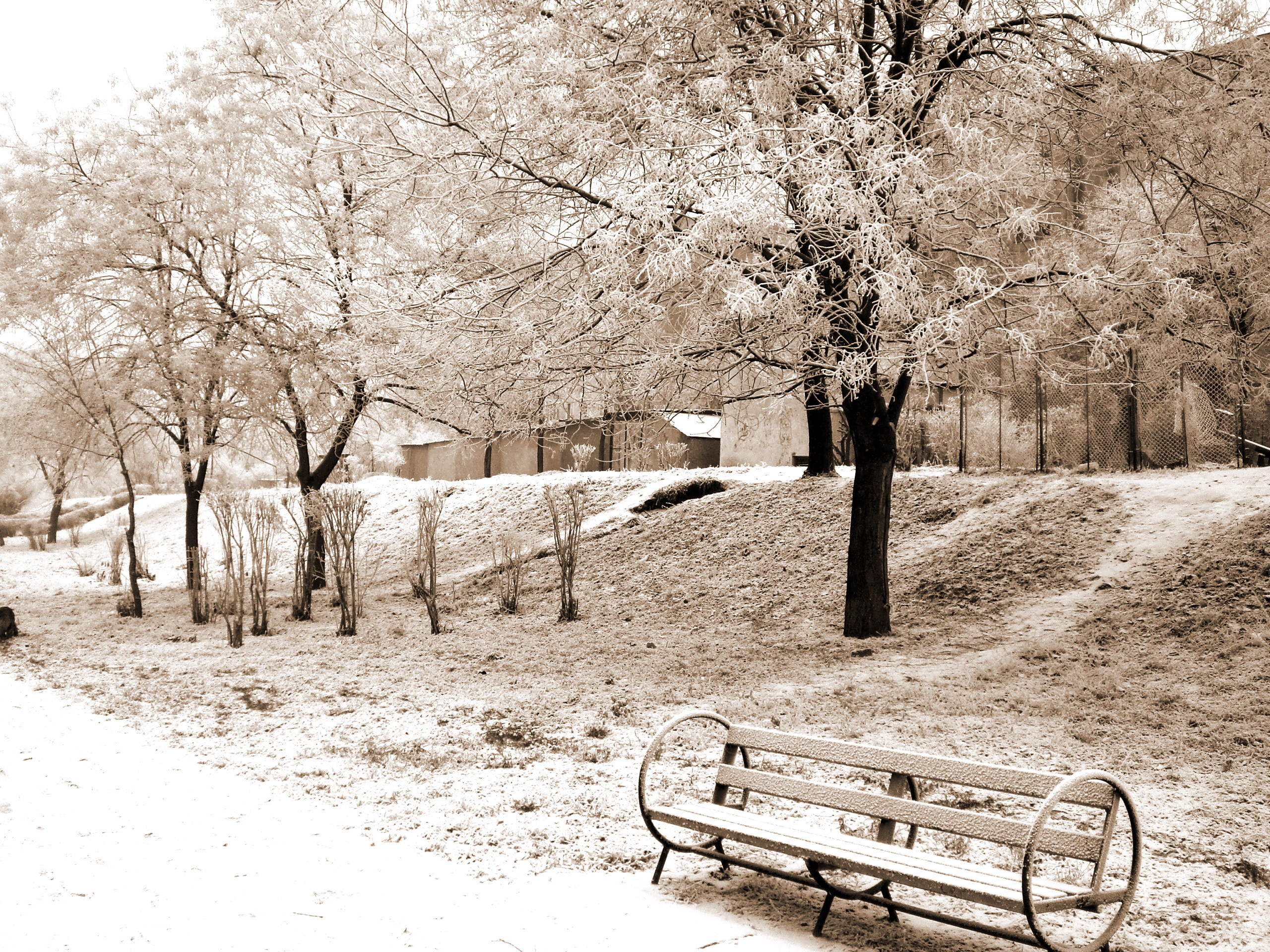 Snow-covered park bench