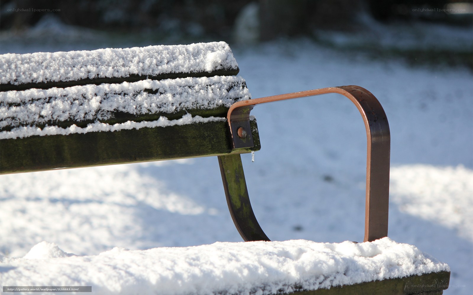 Snow-covered park bench