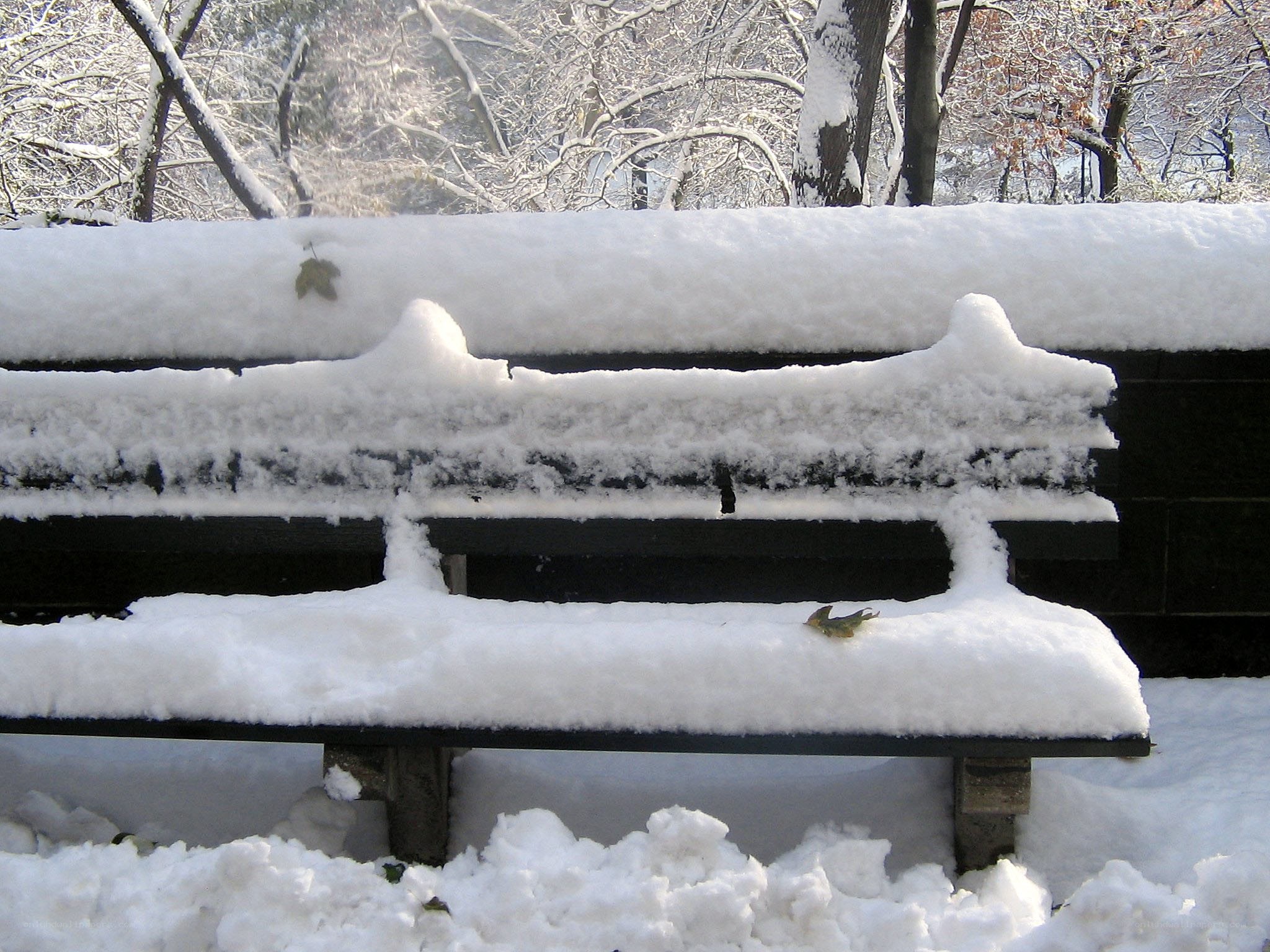 snow-covered park bench