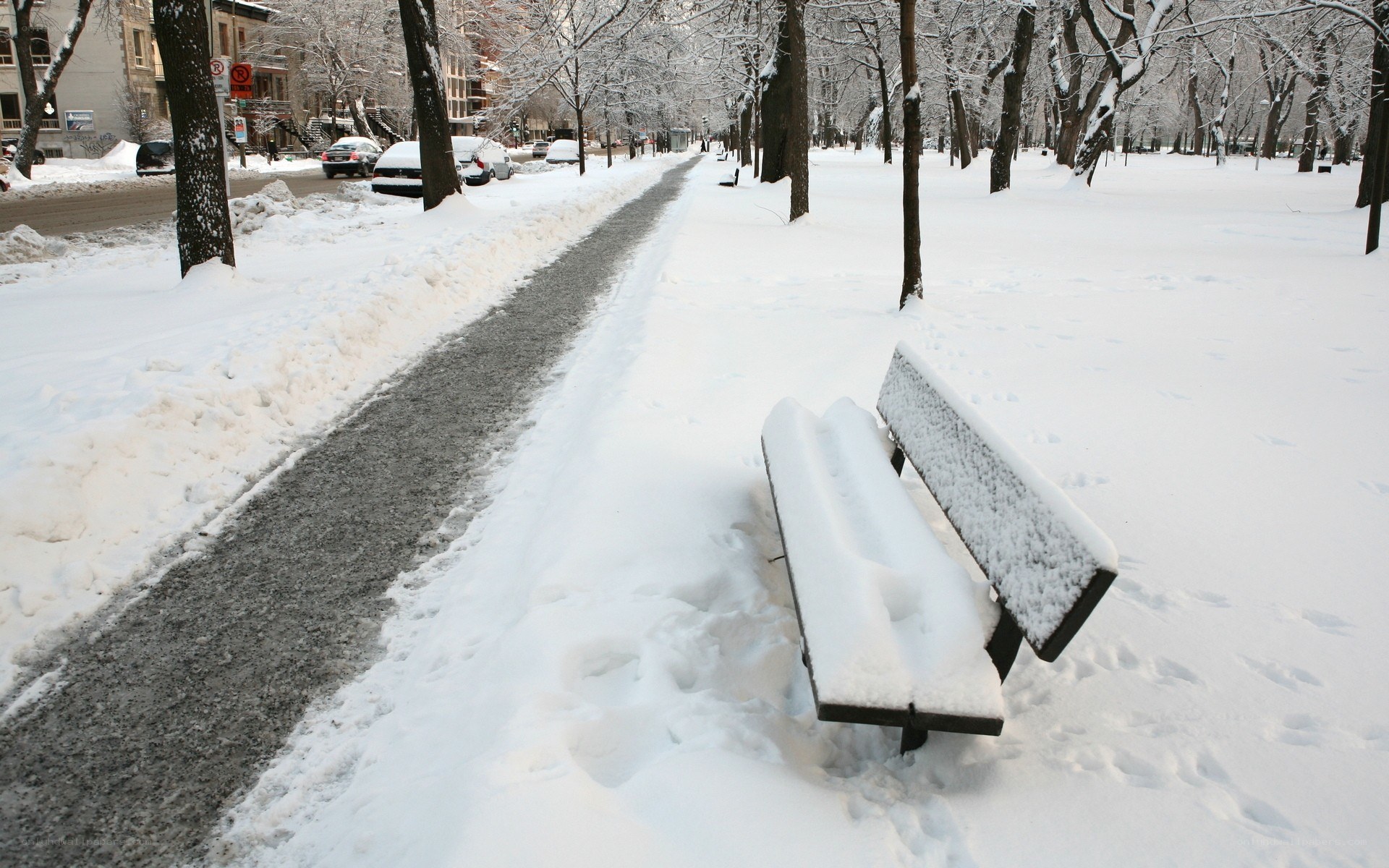 Snow-covered park bench