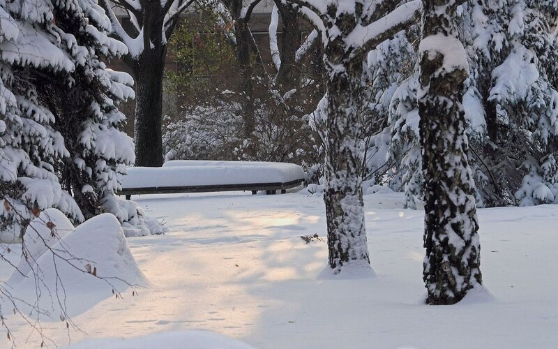 Snow-covered park bench