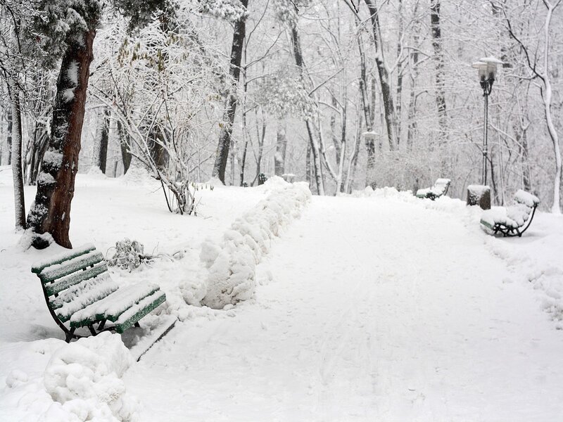 Snow-covered park bench