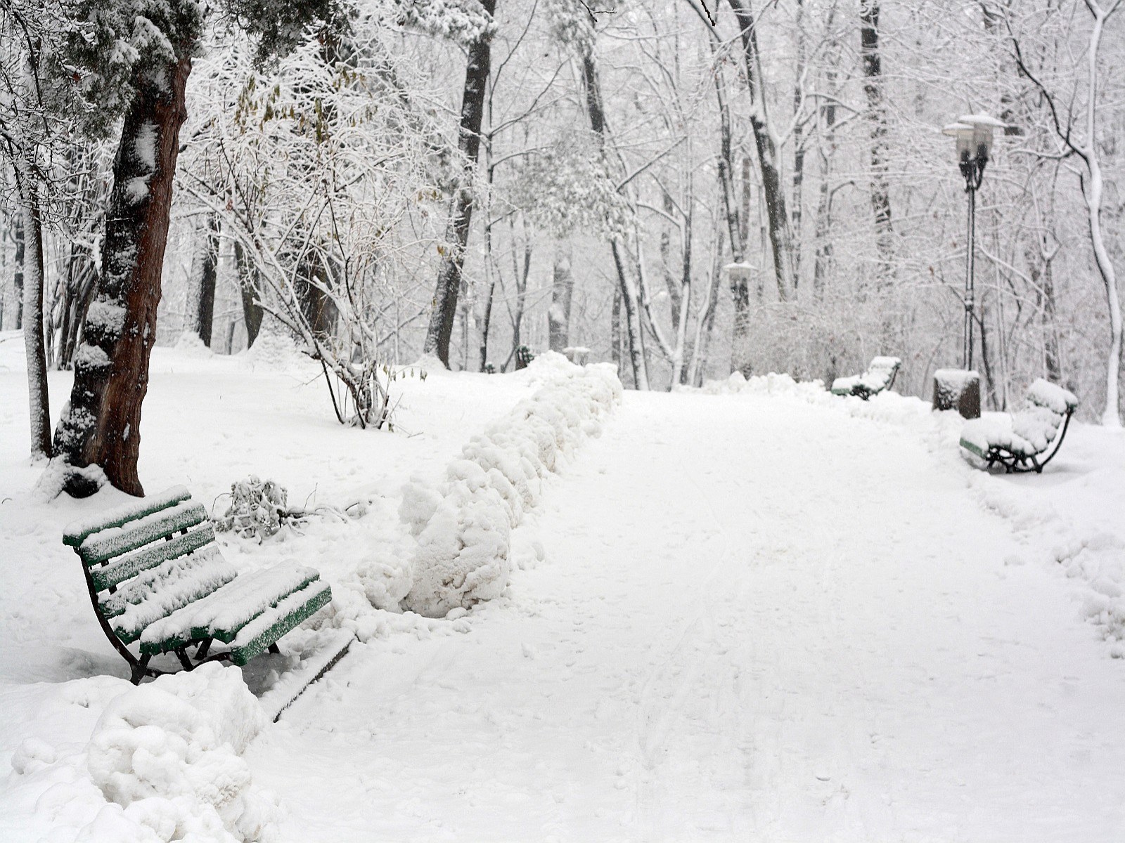 Snow-covered park bench