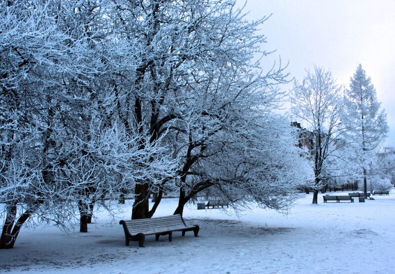 Snow-covered park bench