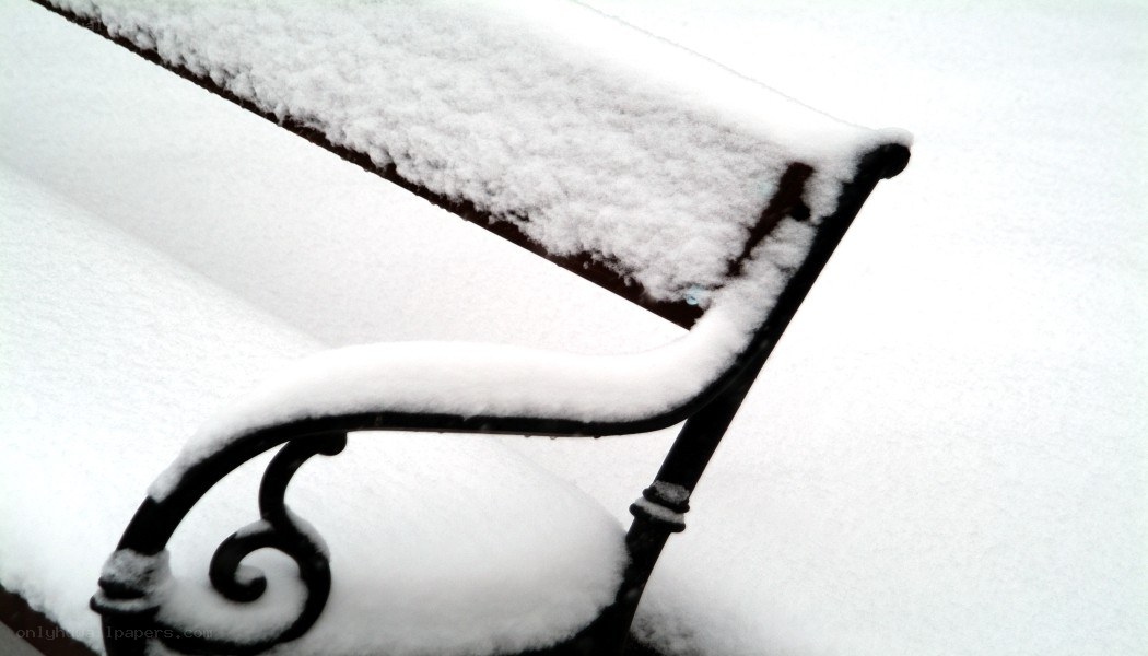 Snow-covered park bench