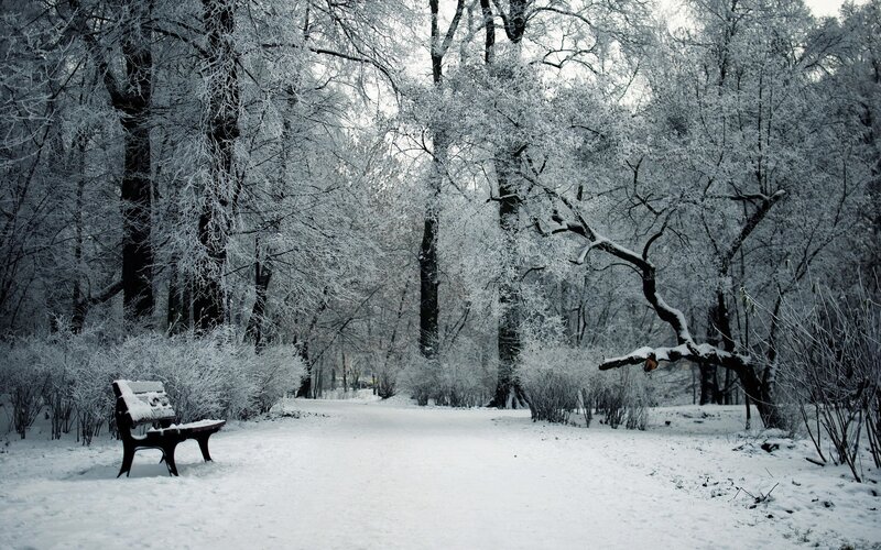 snow-covered park bench