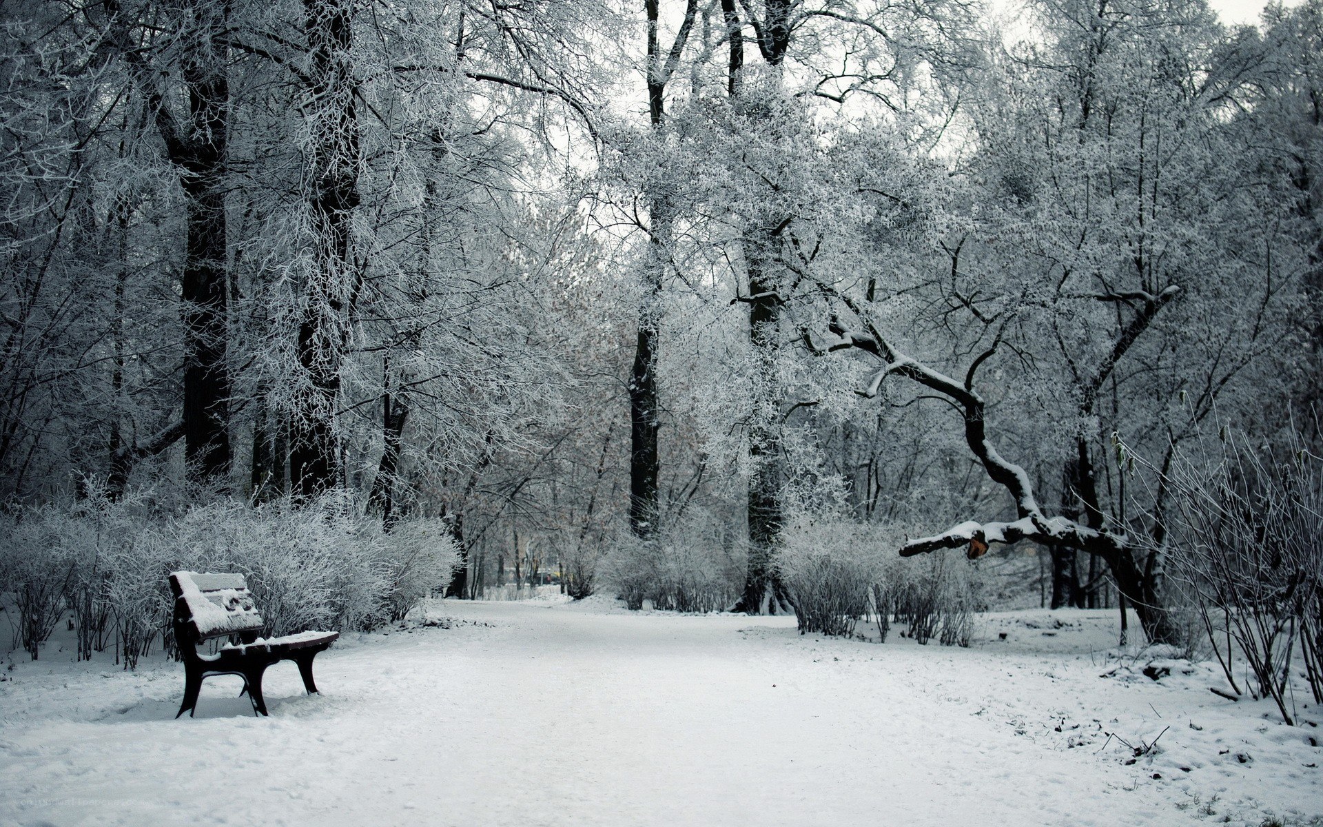 snow-covered park bench