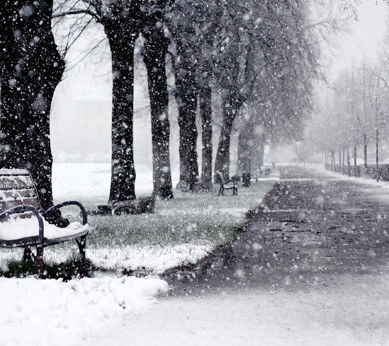 Snow-covered Park Bench — Black, Calm