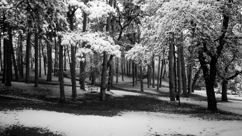 Snow-covered Park Bench — Black, Serene