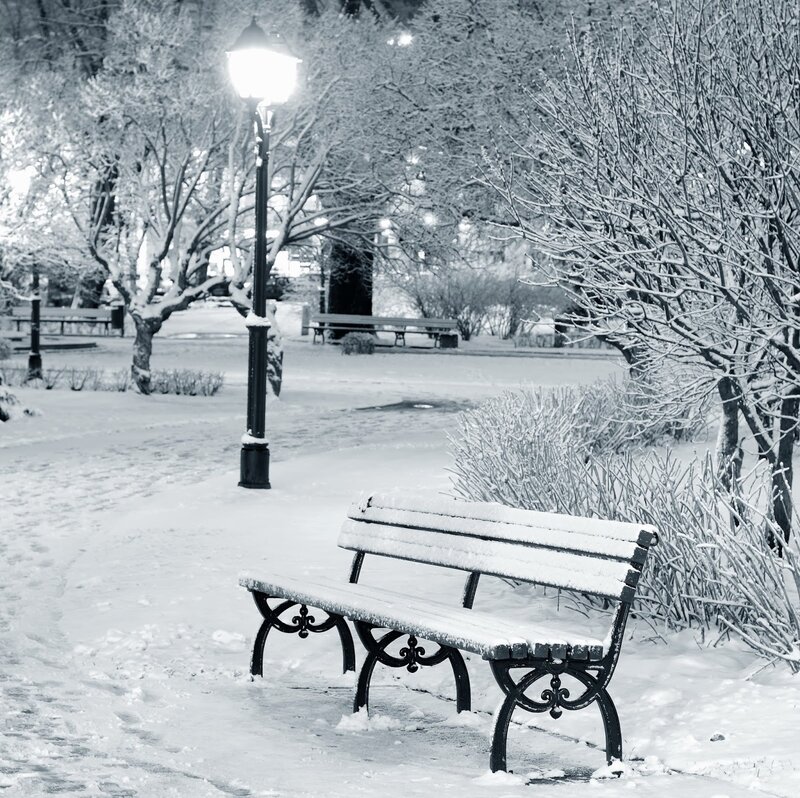 Snow-covered Park Bench — Black